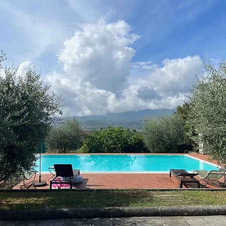 Castagnone *